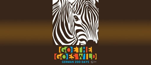 Zoo Days