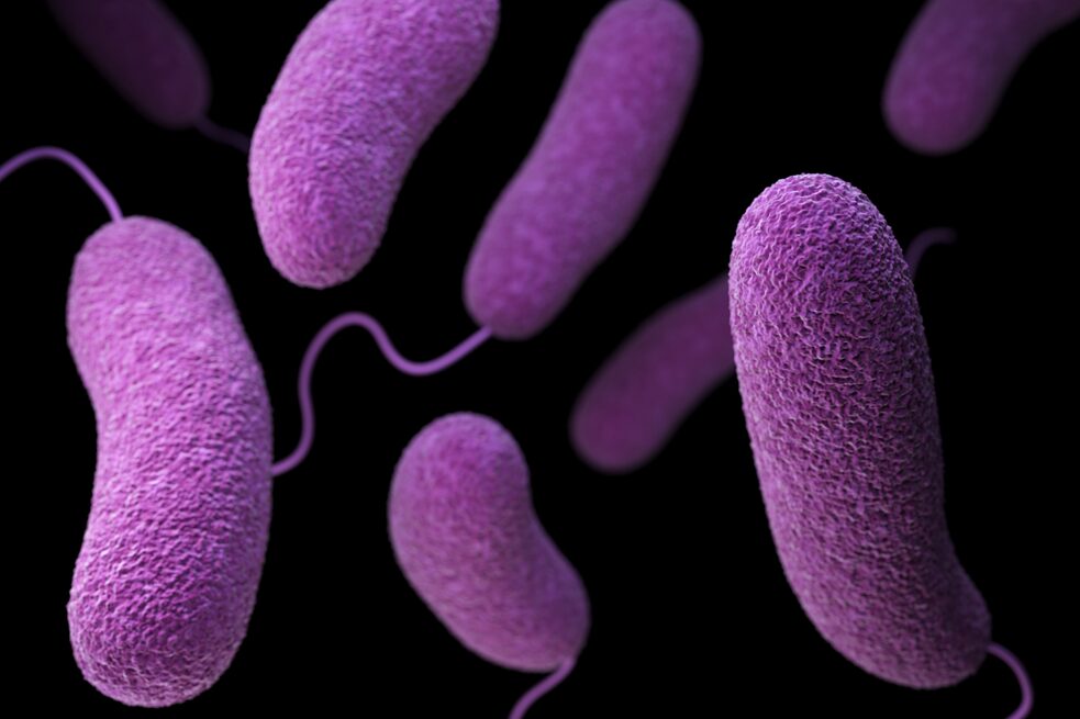 La bacteriología - Mega éxito en el micromundo