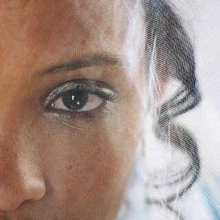 Flatland, de Jenna Cato Bass