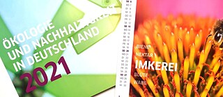 Goethe Institut Kalender 2017