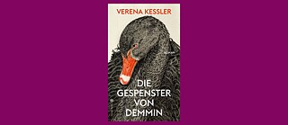 Book cover: Die Gespenster von Demmin