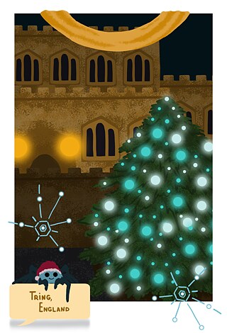 Tring. Weihnachtskarte. Alexandra Wodolaschtschenko