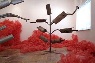 Kunstprojekt “Kulturlandschaft”. Detail-Ausschnitt. Die Schweizer Künstlerin Isabel Rohner stellt ihren Ansatz zu Umweltbewusstseinsthematiken vor.