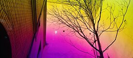 Der Himmel in Regenbogenfarben, Blick aus dem Literaturhaus Berlin