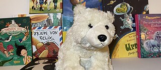 Eizi Eiz der Bücherwurmeisbär