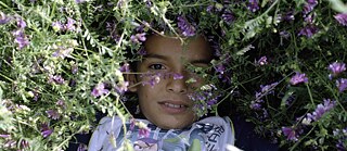 Poika makaa kukkien keskellä