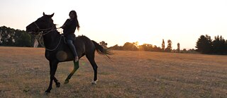 Camila a caballo 2,3-1