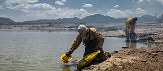 BRIGADA 2045 CFZ-6993 2,3-1