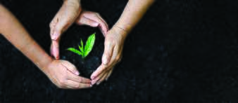 Science Film Festival - Thema 2020:  The Sustainable Development Goals