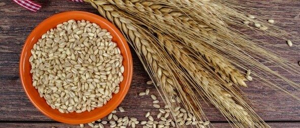 الإفراط في تناوُل منتجات «الجلوتين» قد يصيب الأطفال بمرض «السيلياك»