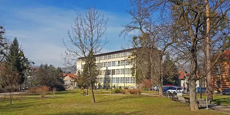 Mustafa Kamaric skola