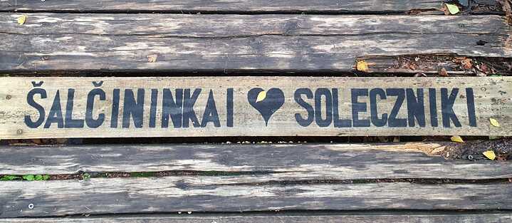 Šalčininkai. Zwischen lokalen Identitäten und großen historischen Erzählungen