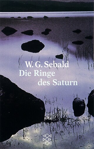 Die Ringe des Saturn Book-Cover &copy; Cover: Fischer Verlag Die Ringe des Saturn Cover