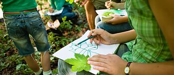 Ein Gruppe von Schülern sitzt in einem Wald und zeichnet die Blätter eines Baumes ab.