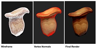 Foragers, three Mushrooms