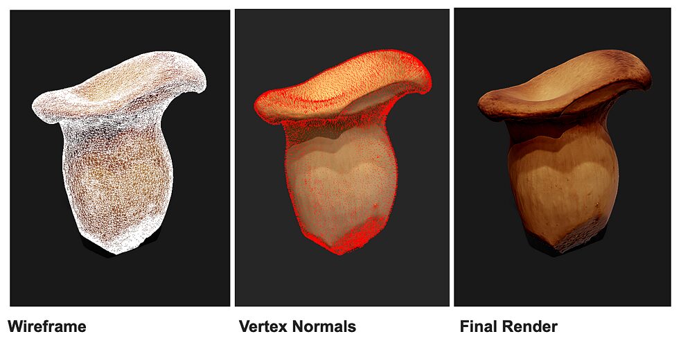 Foragers, three Mushrooms