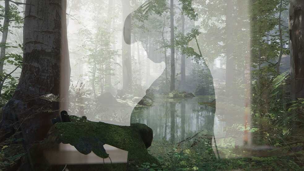 Symbiosis/Dysbiosis