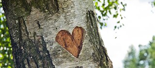 Liebesgeschichte  ©  © adobe.stock Liebesgeschichte 