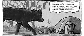 Dingos_2