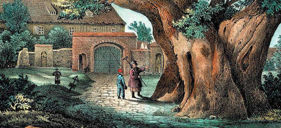 „Die große Linde auf dem Kirchhofe zu Kaditz“: Lithografie von Carl Wilhelm Arldt (um 1840). 