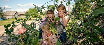 Kinder stehen unter einem Schlehendorn und pflücken die Beeren
