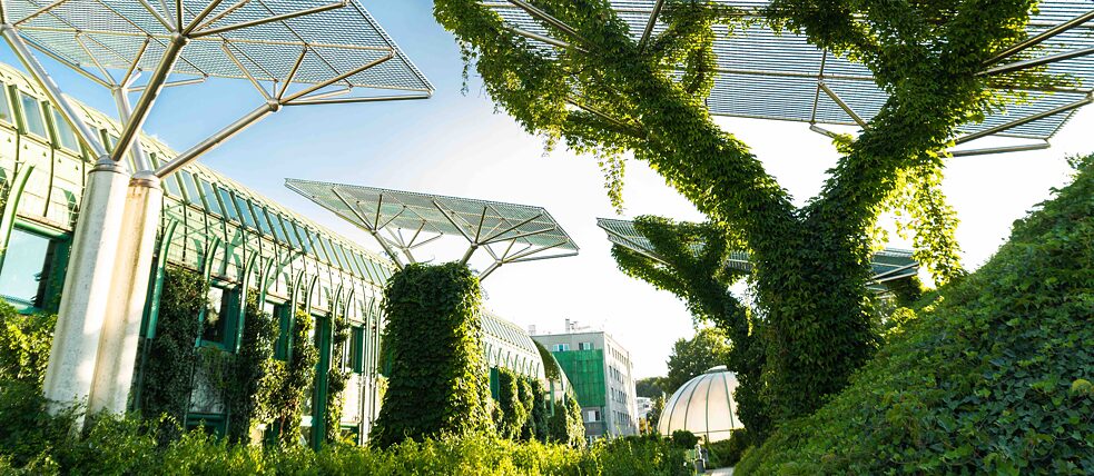 The roof garden of Warsaw University Library.