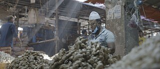 Kawran Bazaar Ein anderer Verkäufer sortiert seinen Vorrat an Ingwer