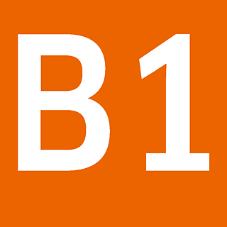 Infografik: Goethe-Zertifikat B1