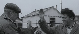 tribulations irlandaises bild &copy; - tribulations irlandaises