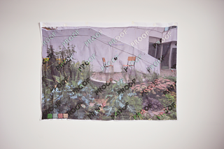 Garden &copy; © Florence Yee Garden