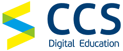 CSS_Logo