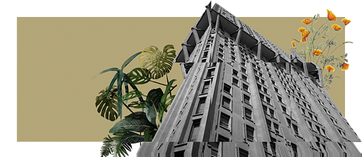 Лёгкий язык