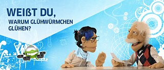 Glühwürmchen