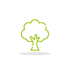 Illustrazione: Albero