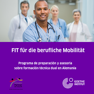 Fit para la mobilidad laboral © Goethe Institut FIT para la mobilidad laboral
