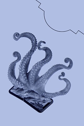 Key Visual des Projekts Performing Architecture - Octopus auf hellblauem Grund, oben rechts angedeutet der Grundriss des deutschen Pavillions Biennale Venedig