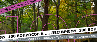 Bäume und 100 Fragen