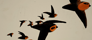 Short Export – Made in Germany © © Frédéric Schuld (Der Schornsteinsegler) Short Export – Made in Germany