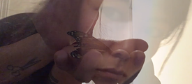 Helen Lee Banner