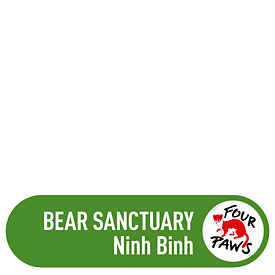 FOUR PAWS Viet Bear Sanctuary Ninh Binh 