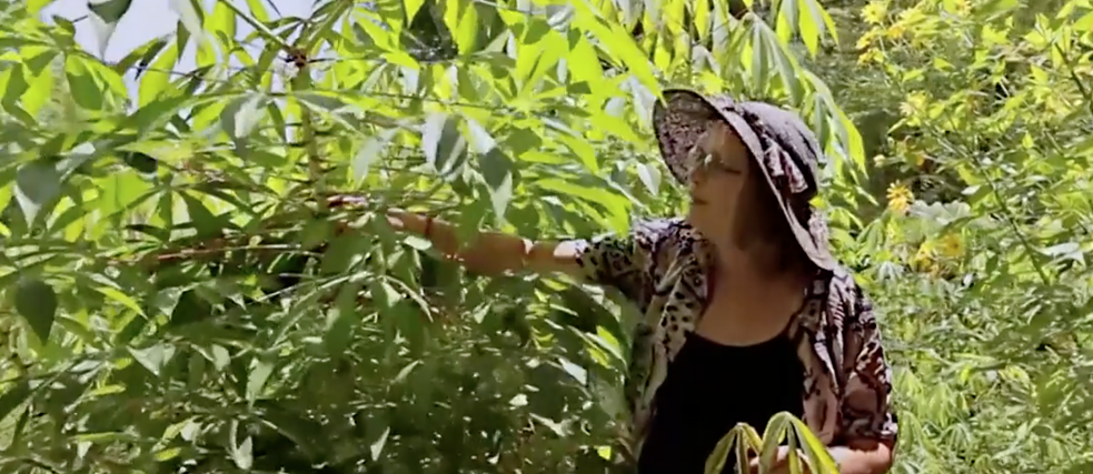 SFF 2021: Eat Grow Love