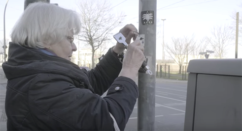 Kopf in den Wolken - Neufundland