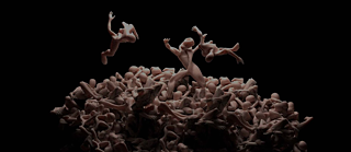 Maryam Faridani Banner 