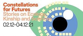 Constellations for Future