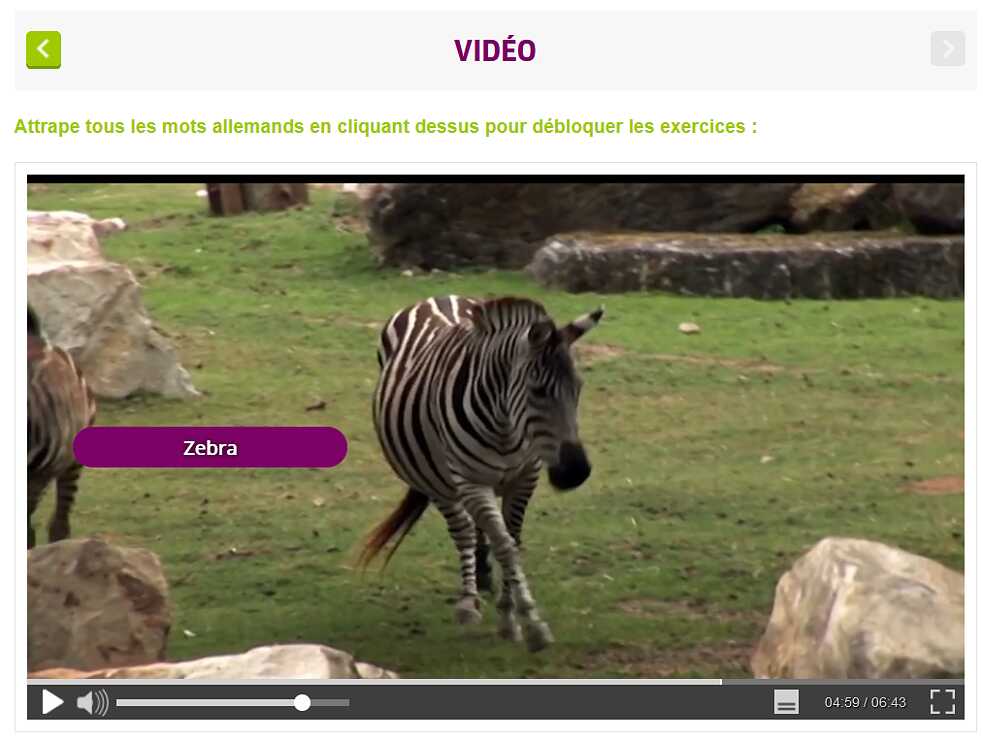 Leçon vidéo « capturés » - version française