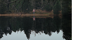 Banner Wood and Water