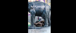 In Plain View © © BKKDOC  In Plain View