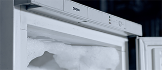 Valentina Sciarra, The Dirvoce, videostill