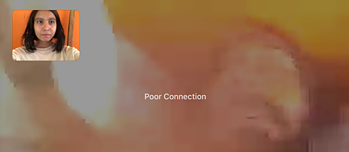 Everyday life has shifted to the virtual on numerous levels during the pandemic. 