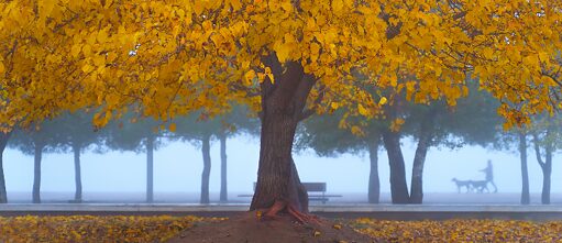 Das Mikroklima in Thessaloniki